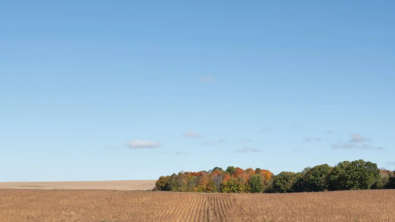 Living in Bradford West Gwillimbury