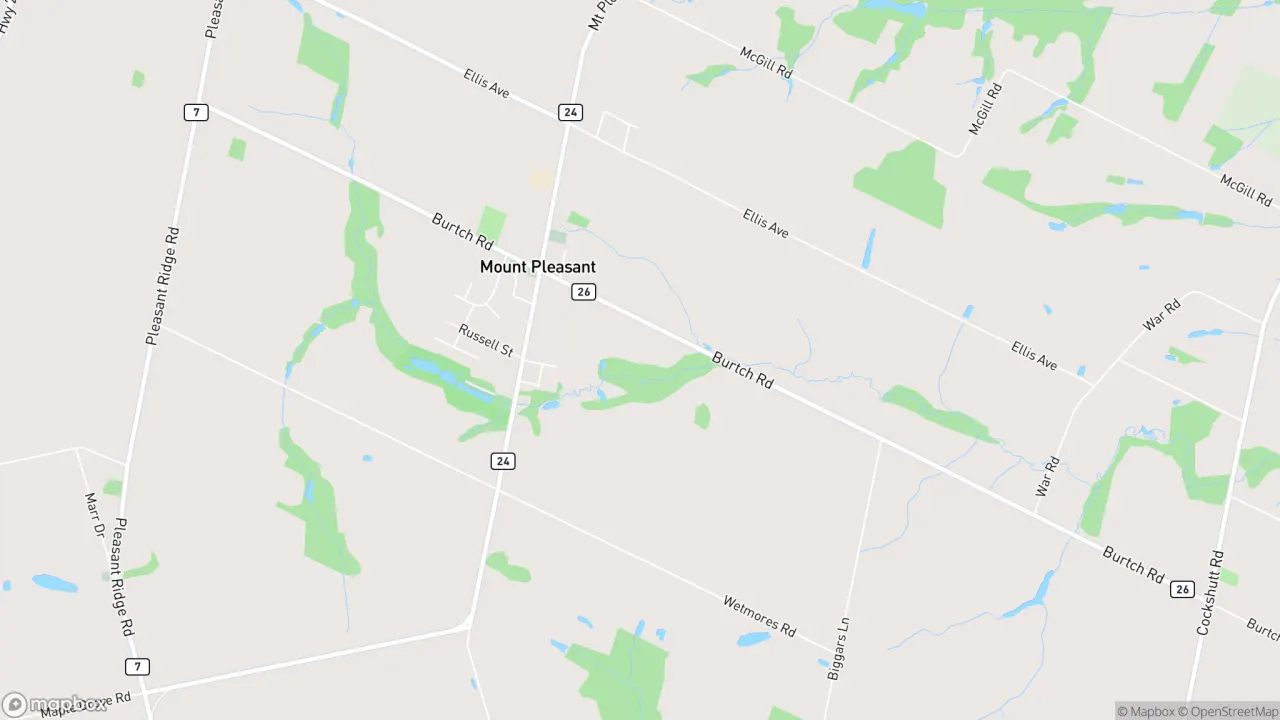 Street view in Mount Pleasant, Ontario