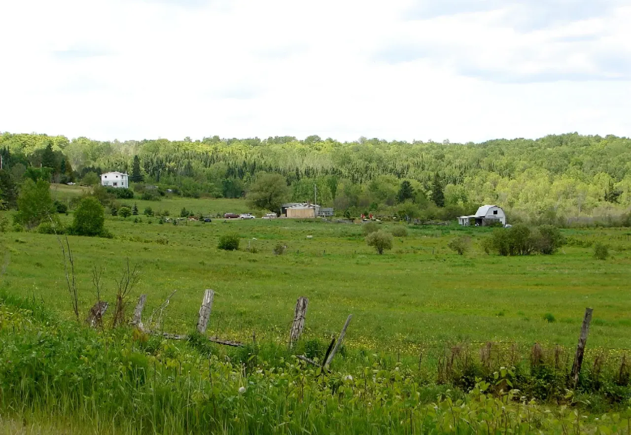 Chisholm, Ontario — HOMEH neighbourhood guide