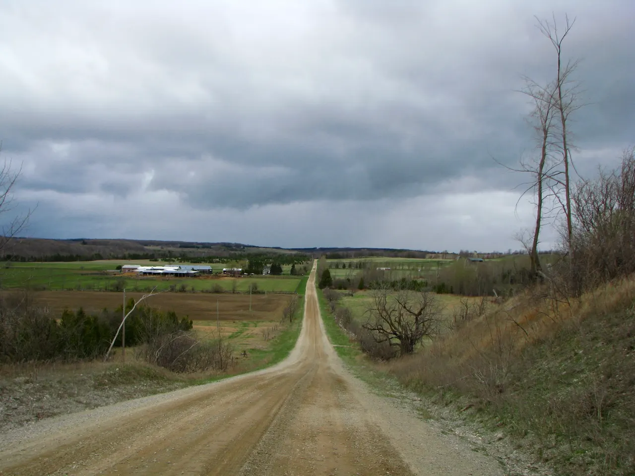 Street view in Mulmur, Ontario