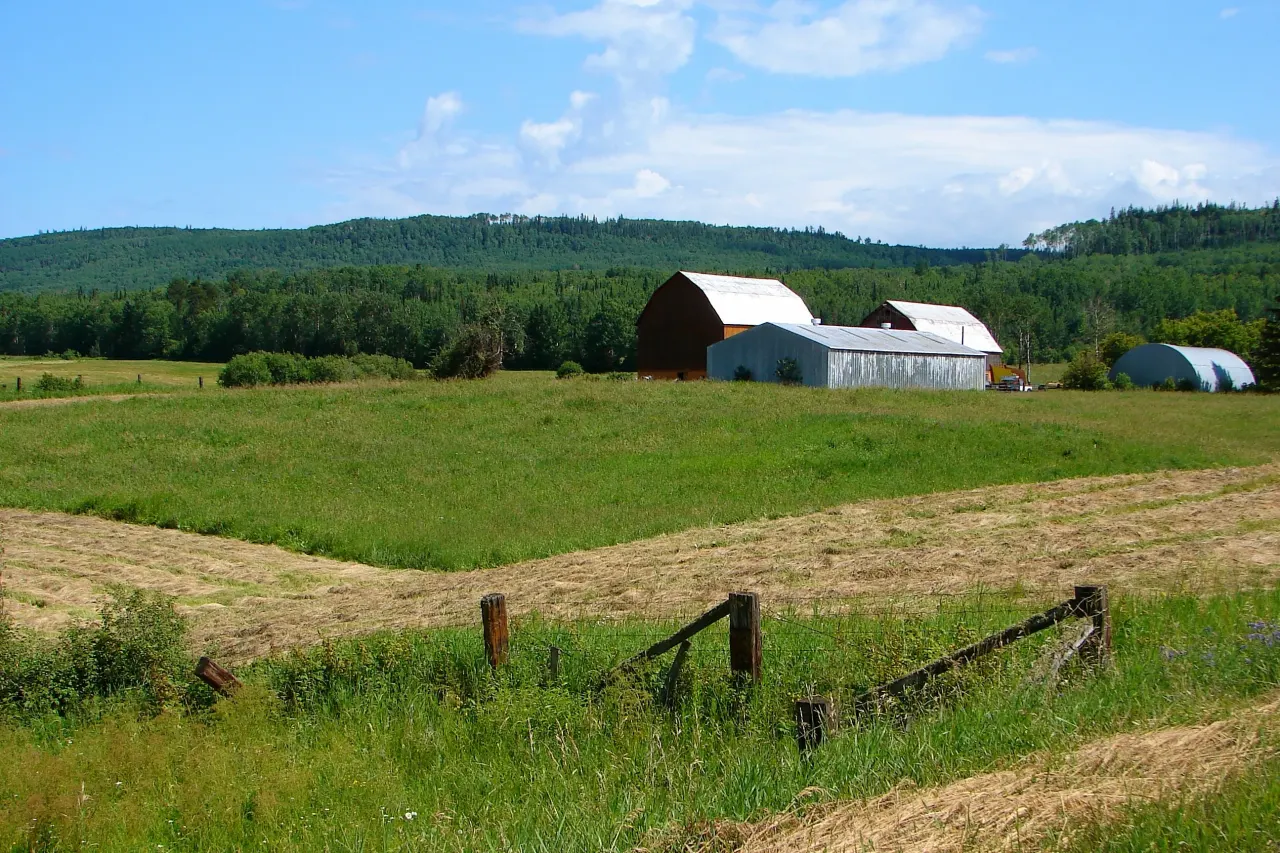 Street view in Gillies, Ontario