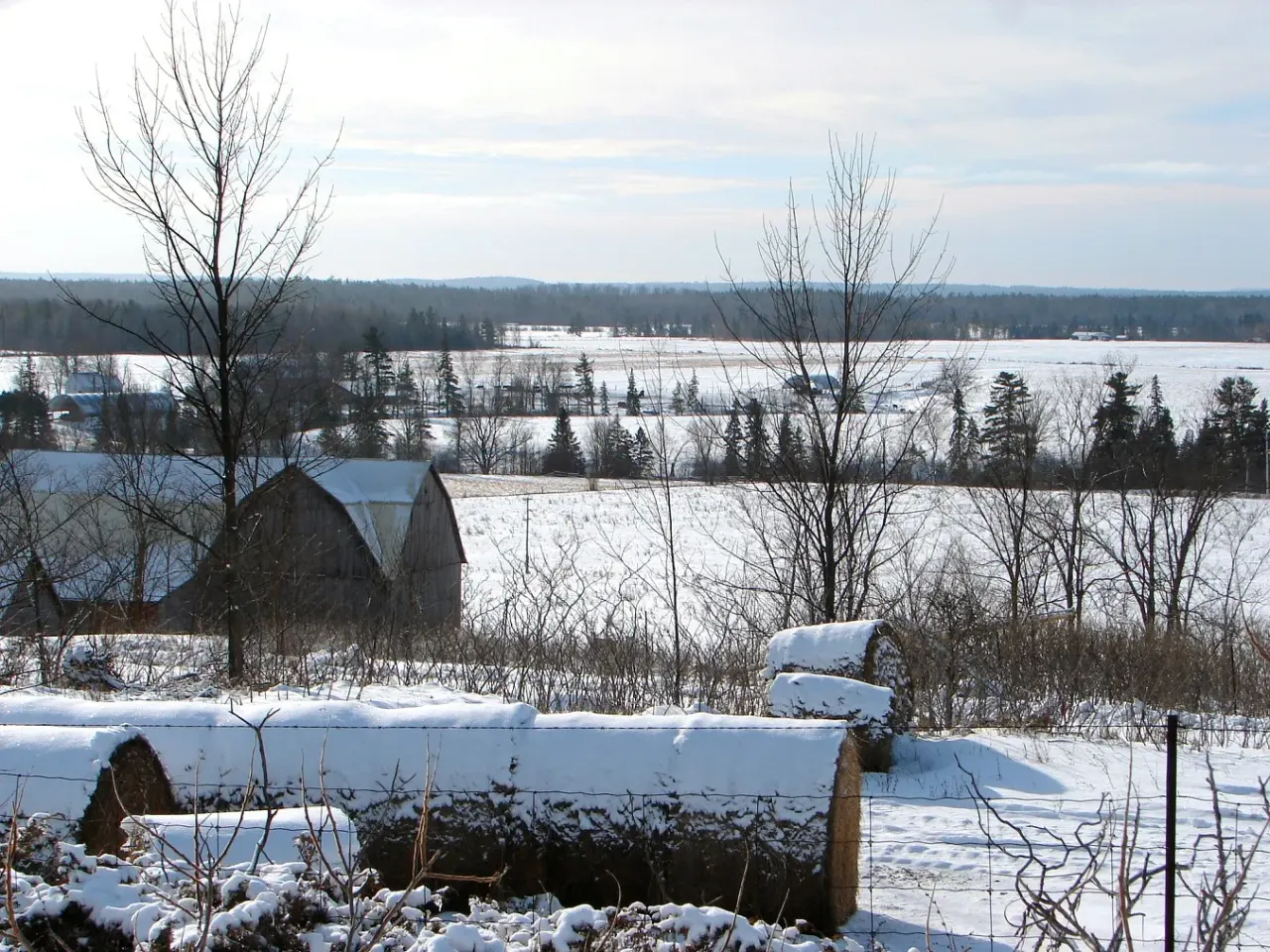 Street view in McNab/Braeside, Ontario