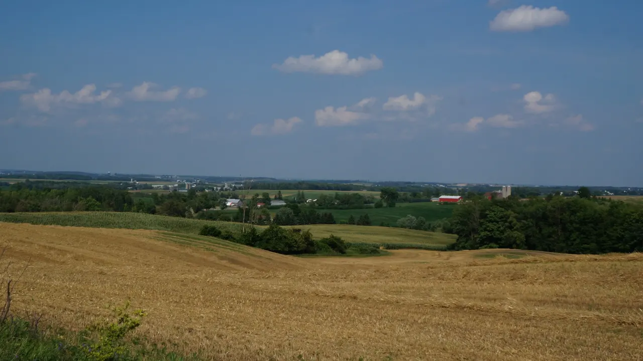 Wellesley, Ontario — HOMEH neighbourhood guide