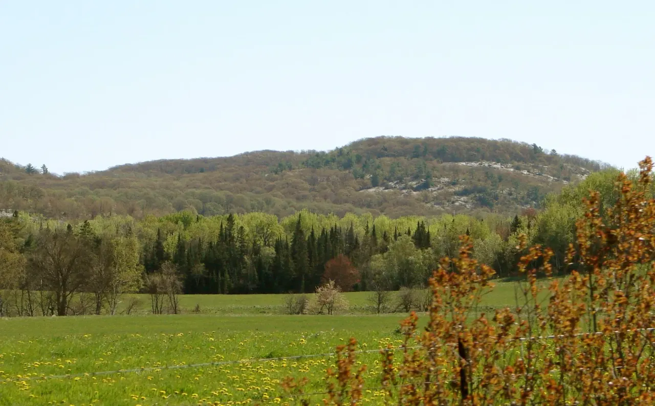 Plummer Additional, Ontario — HOMEH neighbourhood guide