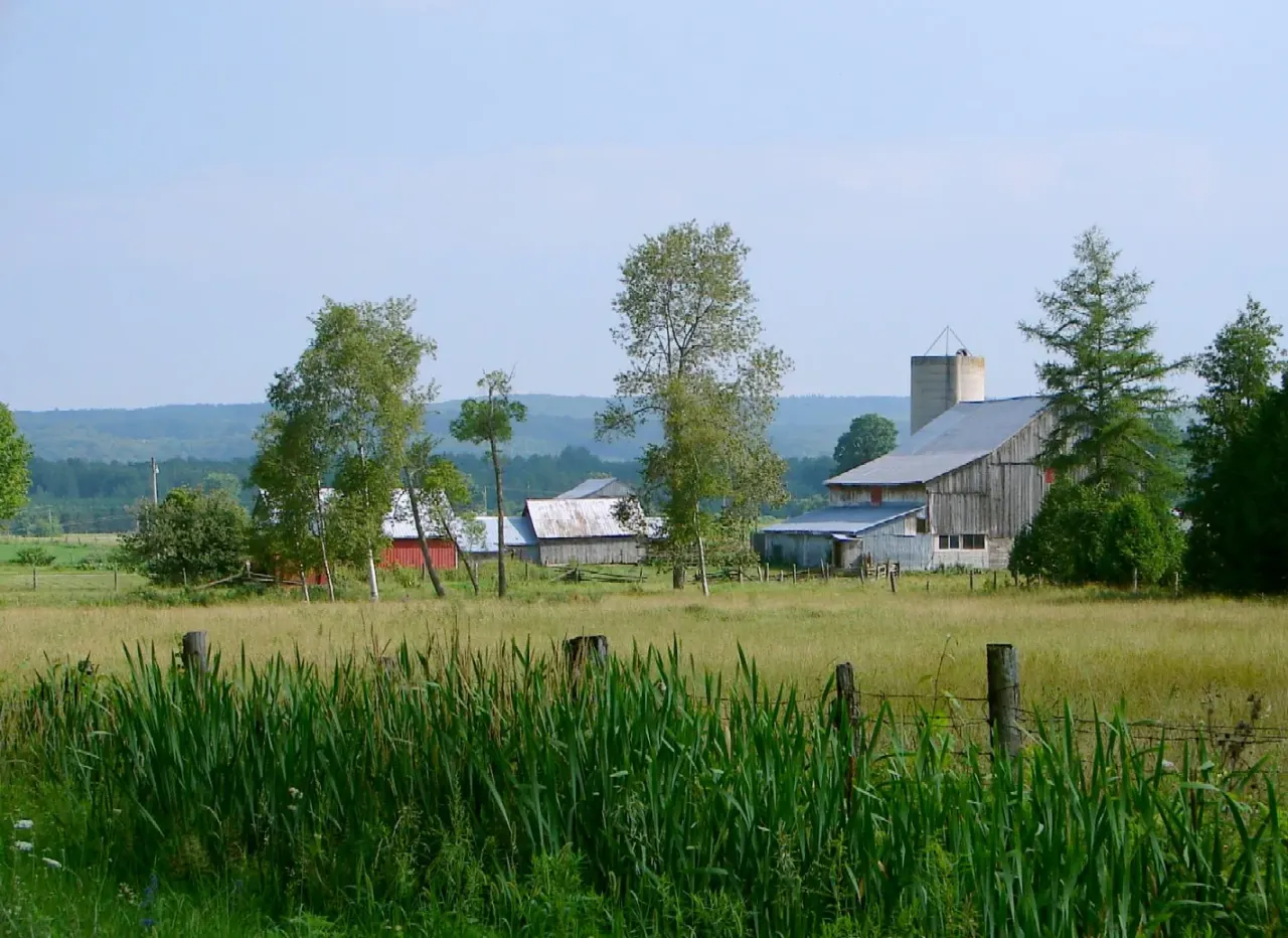 Street view in Oro-Medonte, Ontario