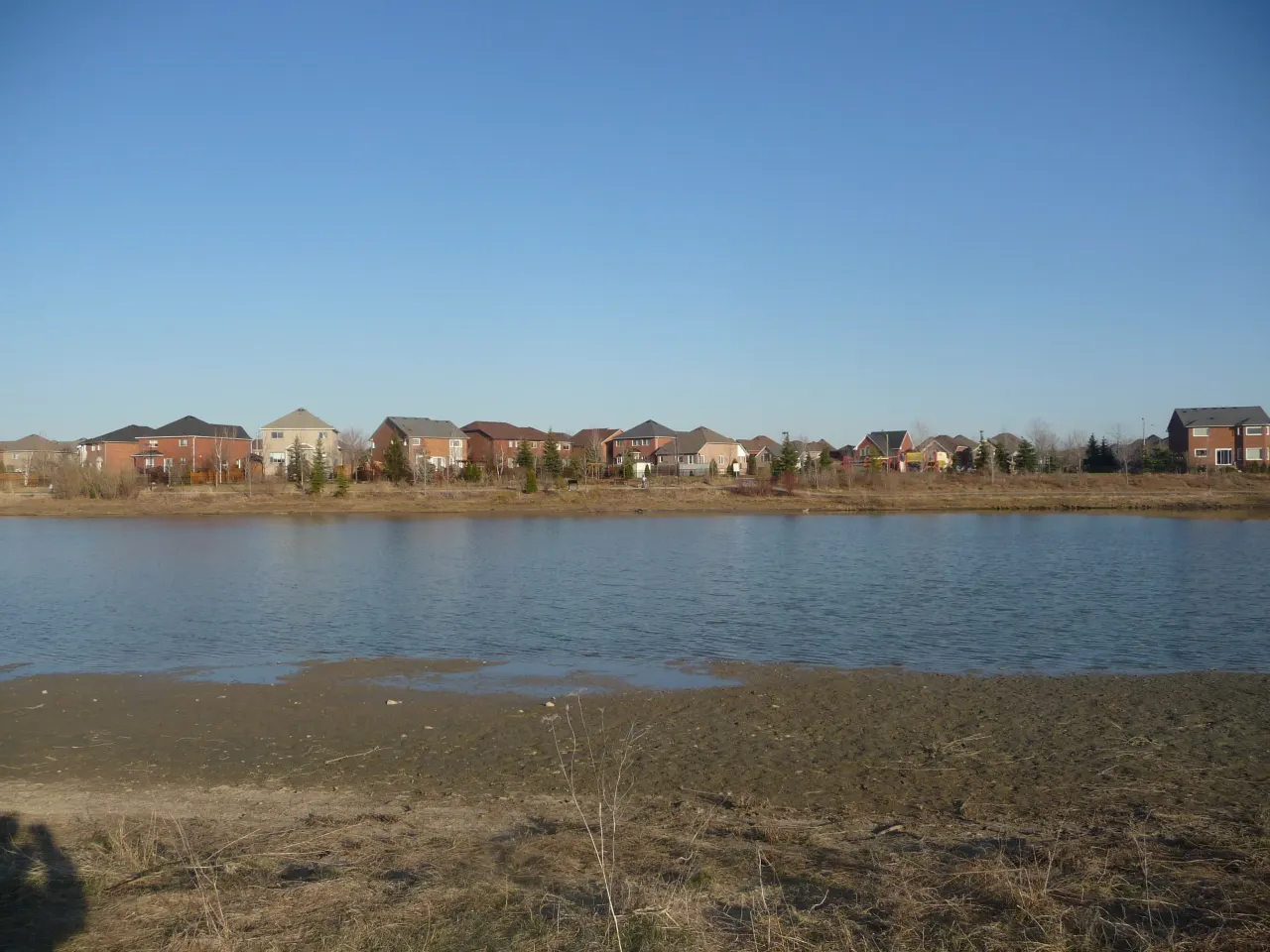 Lisgar, Mississauga — HOMEH neighbourhood guide