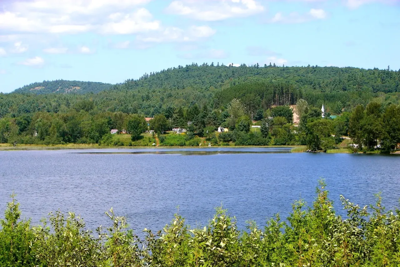 Addington Highlands, Cloyne — HOMEH neighbourhood guide