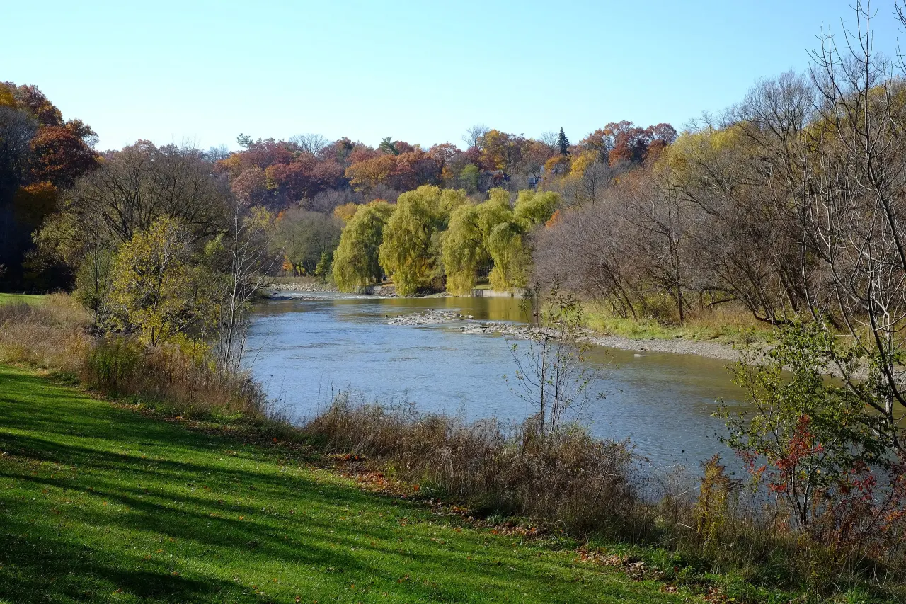 Lambton Baby Point, Toronto — HOMEH neighbourhood guide
