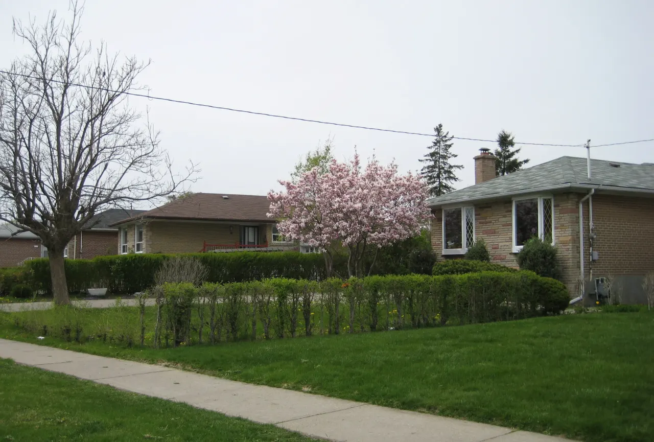 Rexdale-Kipling, Etobicoke — HOMEH neighbourhood guide