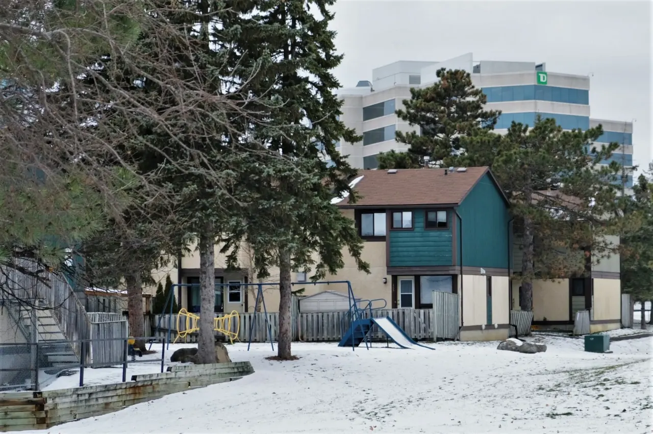 Pineview, Ottawa — HOMEH neighbourhood guide