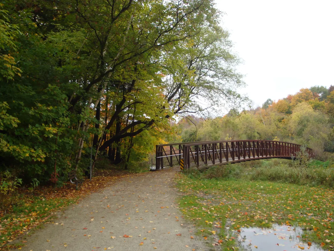 Eringate-Centennial-West Deane, Etobicoke — HOMEH neighbourhood guide