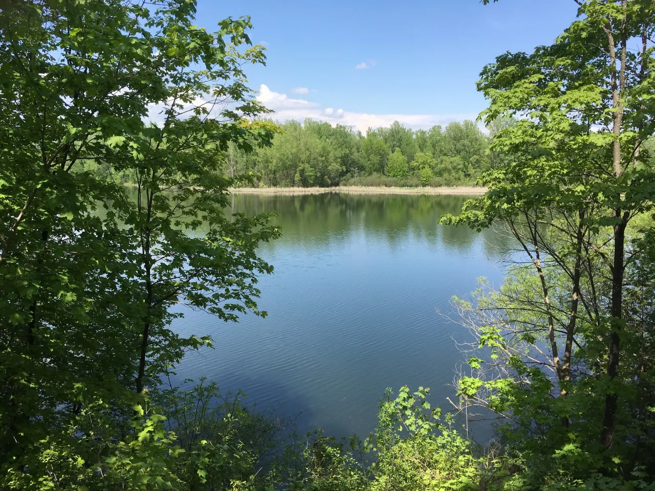 Rockcliffe Park, Ottawa — HOMEH neighbourhood guide