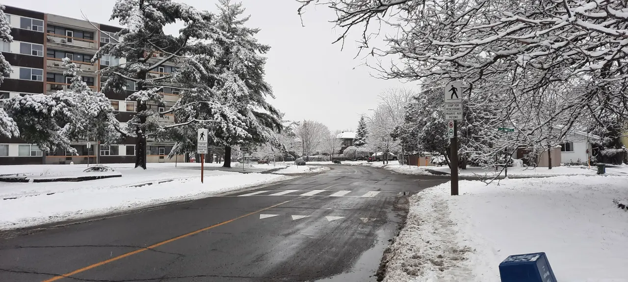 Riverside Park, Ottawa — HOMEH neighbourhood guide