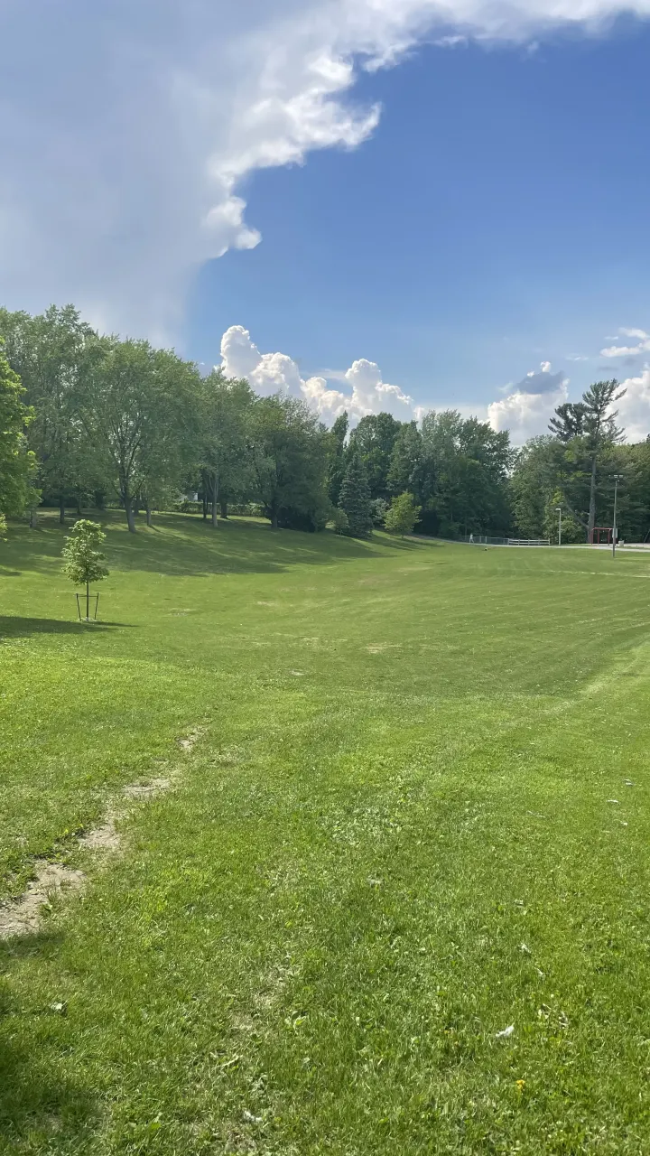 Leslie Park, Ottawa — HOMEH neighbourhood guide